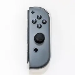 Nintendo Switch Joy-Con グレー 訳あり ジャンク 左右 - メルカリ