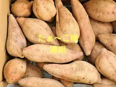 たぁ〜こ様専用　種子島安納産安納芋　わけあり商品5キロ