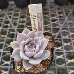 のーふ様 リクエスト 4点 まとめ商品