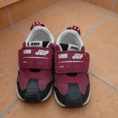 Item thumbnail for item 9d51c6a9-8245-495e-a381-f0e16e114b02