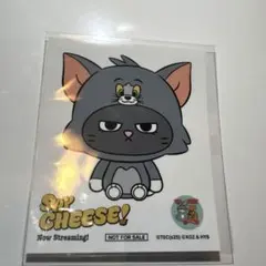 BOYNEXTDOOR ボネクド　トムジェリ　ステッカー　テサン