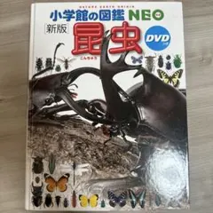 新版 昆虫 小学校館の図鑑 NEO