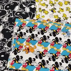 Item thumbnail for item 8e624d9c-7093-4edd-88e2-90f7742e6899