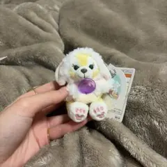 ホワイトウィンタータイムワンダーズ クッキーアン