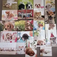 子犬のポストカードセット　21枚