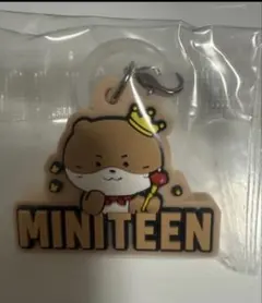 ミニティーンぷっくりめじるしアクセサリー ディノ