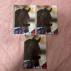 GiGO限定 サラブレッドコレクション ポストカード エフフォーリア 2枚セット