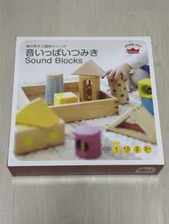 エドインター 音いっぱいつみき｜未使用 木箱付き 11個セット｜1歳〜 知育玩具