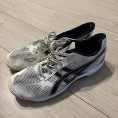 Item thumbnail for item d753ee0a-f230-4499-afe1-5dd12e6d9443