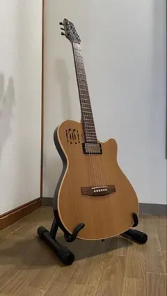 Godin Multiac Nylon Encore エレガット 2018年製造 - メルカリ