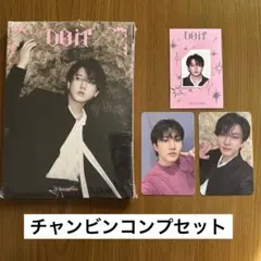 straykids DOIT アコーディオン コンプセット チャンビン