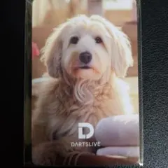 Item thumbnail for item 7c28d848-22db-449c-bfe0-24582598be15