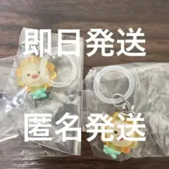 JOCHUM めじるしアクセサリー bira 佐藤景瑚