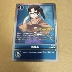 2026年最新】姚青嵐の人気アイテム - メルカリ