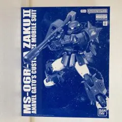 MG 1/100 アナベル・ガトー専用ザクII Ver.2.0 プレバン限定 - メルカリ