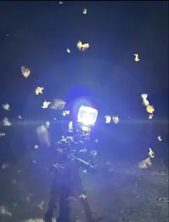 灯火採集 ライトトラップ メタハラHIDグリーン1000w M1000B/G - メルカリ