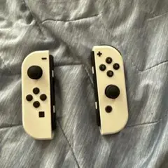 Nintendo Switch Joy-Conのみ