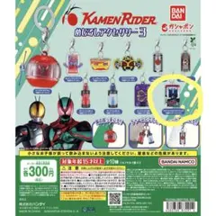 仮面ライダー めじるしアクセサリー3 仮面ライダーディエンド ライダーカード