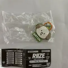 RIIZE ぷっくりめじるしアクセサリー