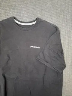 patagonia Responsibili-Tee Tシャツ S 黒