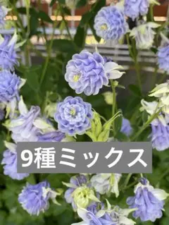 ココア様 リクエスト 3点 まとめ商品