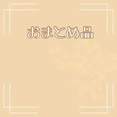 凛様 リクエスト 3点 まとめ商品