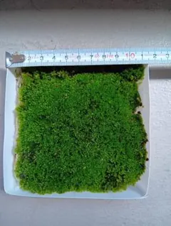 Miuna様 リクエスト 2点 まとめ商品