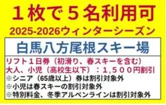 1枚で5名可白馬八方尾根スキー場 リフト券利用割引券1枚③