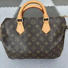 LOUIS VUITTON ルイヴィトン　スピーディー　25センチ　美品のサムネイル