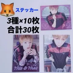 Stray KidsアイエンFANS CD封入ステッカー3種×10枚合計30枚