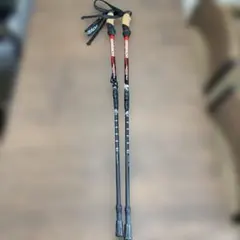 Item thumbnail for item bf83c5a8-4af1-44a1-988b-967c928ac1d3