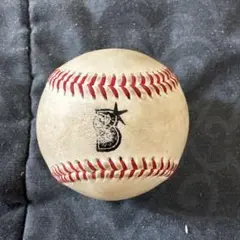 Item thumbnail for item 82611de4-32a1-4f58-8876-404737e1d91f