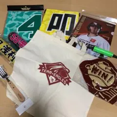 Item thumbnail for item 29d67dd0-0dfb-4226-9d08-3ac307edf5b0