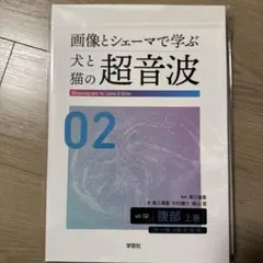 犬と猫の超音波 下腹部 vol.03 裁断済み 裁断済み‼️画像とシェーマで学ぶ犬と猫の超音波 vol.03 腹部 下巻