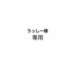 専用