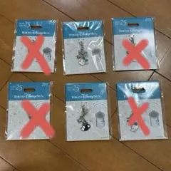 【バラ売り可】東京ディズニーシー キャラクターチャーム 6個