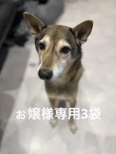 ぉ嬢様専用3袋牛タンジャーキー