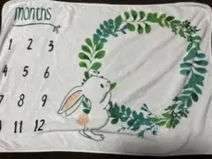 ウサギデザイン 月齢フォトブランケット