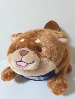 Item thumbnail for item cc29b19b-738b-44e1-bcb5-4509745f79b0