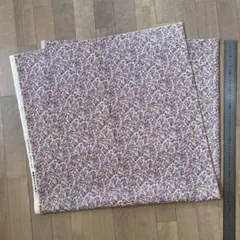 Item thumbnail for item 27be2db0-e7e9-4cff-8910-9eba0620eb61