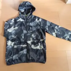 Item thumbnail for item 2cf6561b-914e-43b3-9b1d-9cec660ec607