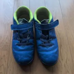 Item thumbnail for item 497e5e0f-df2e-4da5-970d-6af04efa8932