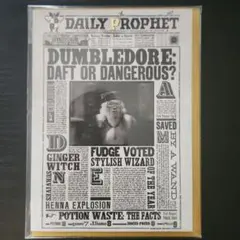 UK限定　ハリー・ポッター ダンブルドア フォトプリント