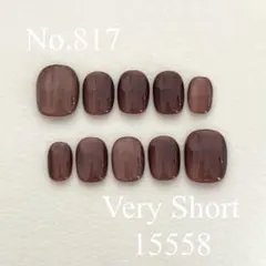 No.817 ニュアンスネイルチップ　マグネットネイル　赤　ワンカラー　シンプル