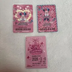 ディズニー リゾートライン　フリーきっぷ3枚セット　ミニーのファンダーランドのサムネイル