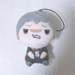 ハイキュー もちぴこ ぬいぐるみ 田中龍之介