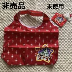 ディズニーJCB非売品♪エコバッグとパスポートホルダー♪