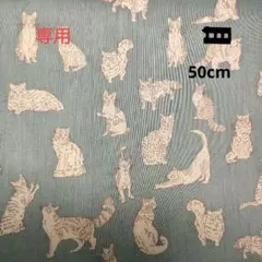 【Acoco 888様専用】リバティ　タナローン　ミャオウ　ブルーグレー50cm