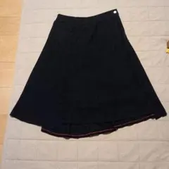 パラスパレススカート　3 綿のサムネイル