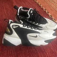 Item thumbnail for item 383fb34a-c7b5-4157-910d-30b826f93160